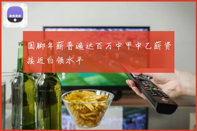 国脚年薪普遍达百万中甲中乙薪资接近白领水平