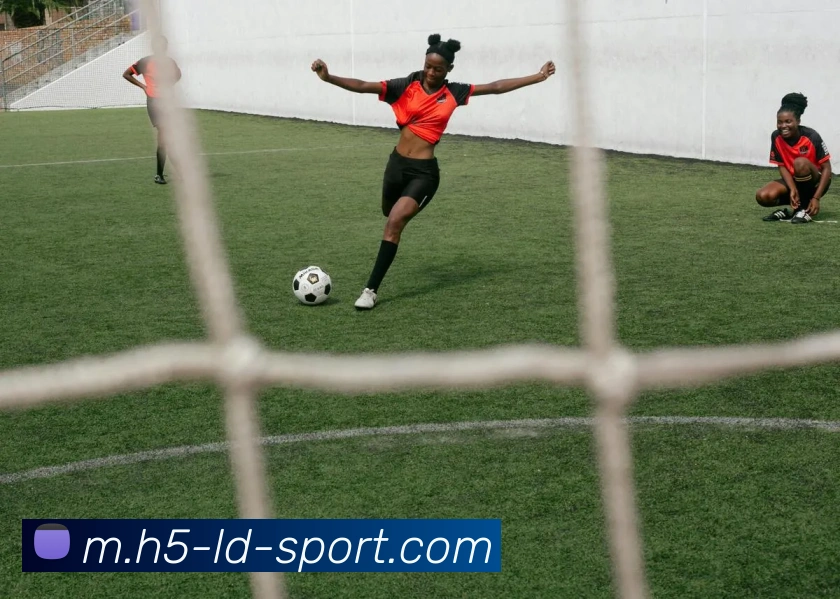 乐动体育APP 高清赛事图